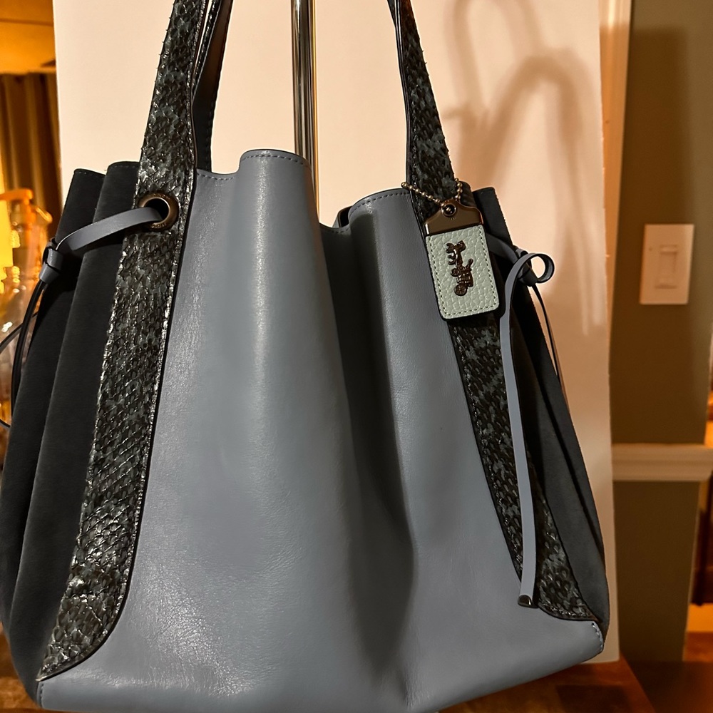 Coach 1941 Collection Edie Snakeskin Detail Bag